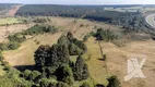 Foto 2 de Lote/Terreno à venda, 67000m² em Balsa Nova, 