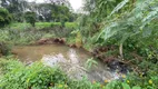 Foto 19 de Fazenda/Sítio com 3 Quartos à venda, 22000m² em , Luiz Alves