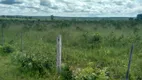 Foto 66 de Fazenda/Sítio com 3 Quartos à venda, 70m² em Zona Rural, João Pinheiro