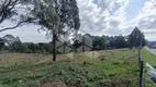 Foto 4 de Lote/Terreno para alugar, 5001m² em São Ciro, Caxias do Sul