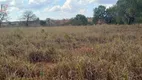 Foto 8 de Fazenda/Sítio à venda, 750000m² em Centro, Felixlândia