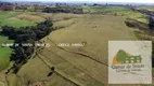 Foto 4 de Fazenda/Sítio com 6 Quartos à venda, 303340m² em Area Rural de Itapetininga, Itapetininga