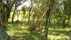 Foto 3 de Fazenda/Sítio com 3 Quartos à venda, 15801m² em Costa Do Ipiranga, Gravataí