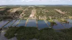 Foto 36 de Fazenda/Sítio com 3 Quartos à venda, 150000m² em Patane, 