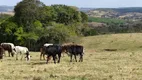 Foto 2 de Fazenda/Sítio com 2 Quartos à venda, 50m² em Zona Rural, Angatuba