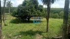 Foto 10 de Fazenda/Sítio com 3 Quartos à venda, 242000m² em , Estiva Gerbi