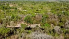 Foto 34 de Fazenda/Sítio com 2 Quartos à venda, 33m² em Zona Rural, Colinas do Sul