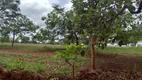 Foto 4 de Lote/Terreno à venda, 20000m² em Zona Rural, Baldim