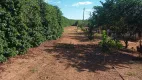 Foto 25 de Fazenda/Sítio com 3 Quartos à venda, 128260m² em Zona Rural, Monte Santo de Minas