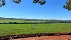 Foto 6 de Fazenda/Sítio à venda, 23232000m² em Zona Rural, Ipameri