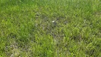 Foto 5 de Lote/Terreno à venda em Morada da Barra, Resende