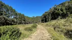 Foto 4 de Fazenda/Sítio à venda, 50000m² em MORRO CHATO, Rancho Queimado