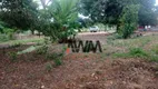 Foto 16 de Fazenda/Sítio à venda, 6727600m² em Zona Rural, Minaçu