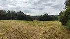 Foto 23 de Lote/Terreno à venda, 10000m² em Vila Delurdes, Campo Largo