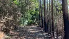 Foto 9 de Fazenda/Sítio à venda, 70000m² em Varzea Grande, Gramado