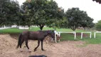 Foto 23 de Fazenda/Sítio com 3 Quartos à venda, 122m² em Nova São Pedro II, São Pedro