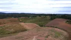 Foto 16 de Fazenda/Sítio à venda, 50000m² em Vila São Tiago, Piraquara