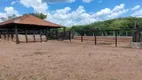 Foto 11 de Fazenda/Sítio com 7 Quartos à venda, 49m² em , Campo Alegre de Goiás