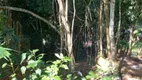 Foto 13 de Lote/Terreno à venda, 600m² em Parque do Ingá, Teresópolis