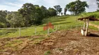 Foto 11 de Fazenda/Sítio com 4 Quartos à venda, 80000m² em Centro, Esmeraldas