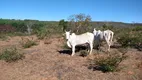 Foto 3 de Fazenda/Sítio com 3 Quartos à venda, 120m² em Zona Rural, Mirabela