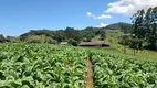 Foto 19 de Fazenda/Sítio com 2 Quartos à venda, 62000m² em Centro, Alfredo Wagner