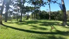 Foto 17 de Lote/Terreno à venda, 3745m² em , Garibaldi