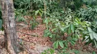 Foto 11 de Fazenda/Sítio com 4 Quartos à venda, 10000m² em Zona Rural, Corumbá de Goiás