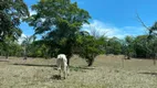 Foto 7 de Fazenda/Sítio com 7 Quartos à venda em , Pontal do Araguaia