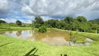 Foto 11 de Fazenda/Sítio com 4 Quartos à venda, 150m² em Zona Rural, Trindade