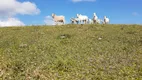 Foto 84 de Fazenda/Sítio com 3 Quartos à venda, 1790000m² em Zona Rural, Natividade da Serra