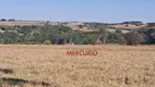 Foto 6 de Fazenda/Sítio à venda, 500m² em Area Rural de Guaimbe, Guaimbê