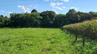 Foto 2 de Fazenda/Sítio com 1 Quarto à venda, 7800m² em Campo Largo da Roseira, São José dos Pinhais