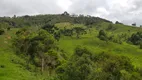 Foto 3 de Fazenda/Sítio com 1 Quarto à venda, 140000m² em Zona Rural, Delfim Moreira