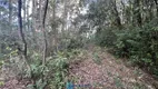 Foto 16 de Lote/Terreno à venda, 102000m² em Monte Bérico, Caxias do Sul