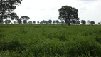 Foto 3 de Fazenda/Sítio com 3 Quartos à venda, 85m² em Zona Rural, São Félix do Araguaia