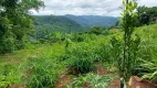 Foto 6 de Lote/Terreno à venda, 20000m² em , Linha Nova