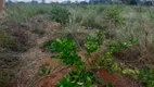 Foto 19 de Fazenda/Sítio com 2 Quartos à venda, 20000m² em Setor Residencial Leste, Brasília