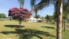 Foto 3 de Lote/Terreno à venda, 1031m² em São Vicente, Iacanga