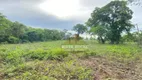 Foto 3 de Fazenda/Sítio à venda, 430000m² em Zona Rural, Rosário Oeste