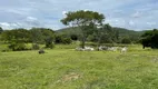 Foto 75 de Fazenda/Sítio com 2 Quartos à venda, 271000m² em Zona Rural, Santa Cruz de Goiás