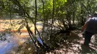 Foto 6 de Fazenda/Sítio com 3 Quartos à venda, 100m² em Zona Rural, Pirenópolis