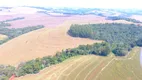 Foto 3 de Fazenda/Sítio à venda, 10m² em , Marilândia do Sul