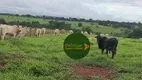 Foto 3 de Fazenda/Sítio à venda, 232320m² em Zona Rural, Petrolina de Goiás