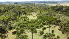 Foto 20 de Fazenda/Sítio à venda, 30000m² em Centro, Campo Alegre