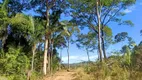 Foto 37 de Fazenda/Sítio com 1 Quarto à venda, 140m² em Zona Rural, Colinas do Sul