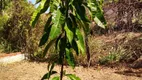 Foto 11 de Fazenda/Sítio com 1 Quarto à venda, 1000m² em Zona Rural, Alexânia