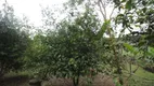Foto 31 de Fazenda/Sítio com 5 Quartos à venda, 190m² em Jardim Janaína, Biguaçu