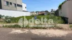 Foto 9 de Lote/Terreno à venda, 422m² em Jardim Inconfidência, Uberlândia