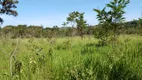 Foto 50 de Fazenda/Sítio com 4 Quartos à venda, 190000m² em Area Rural do Gama, Brasília